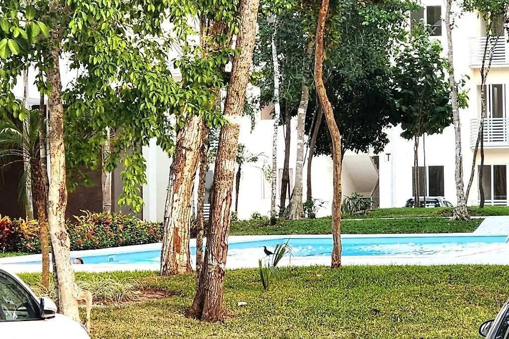 Comodo Apartamento En Planta Baja, Alberca A 20 Pasos, Modelo Ano 2023 Playa del Carmen Messico